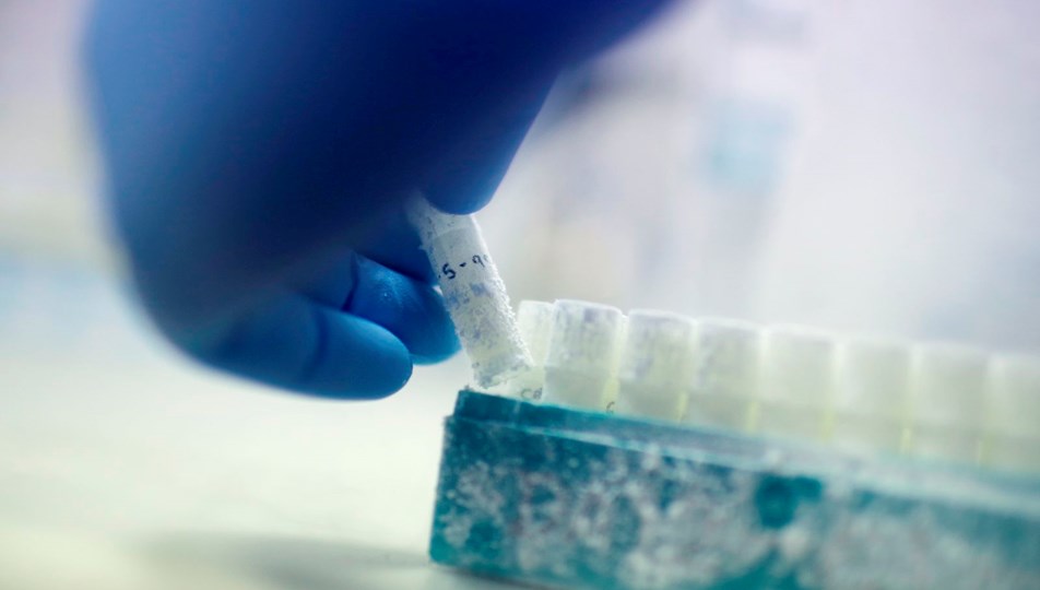 "Tıbbi felaket": 85 sperm donörü binlerce çocuğa baba olmuş