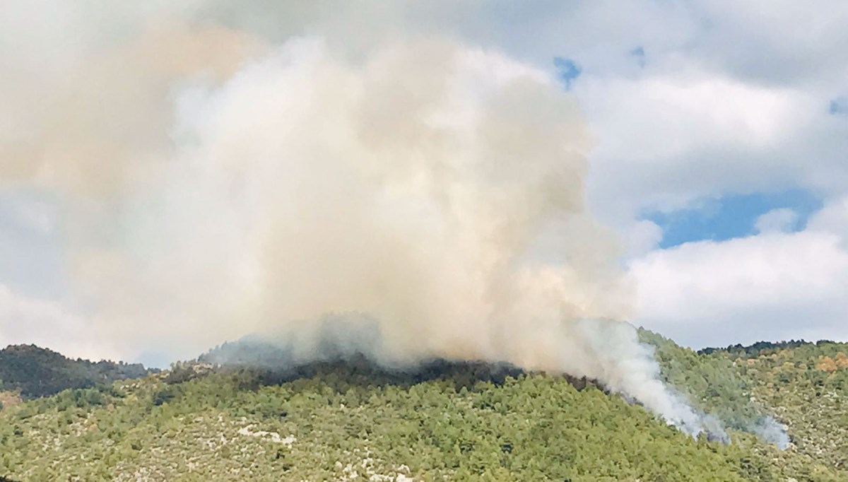 Manavgat'ta orman yangını