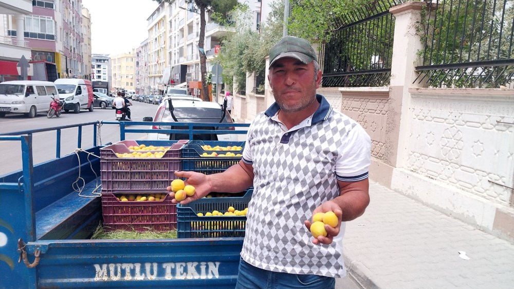 Birinci hasat yapıldı: 500 TL'den alıcı buldu 77 zkDdOB4md0uRibaOTLwpgg