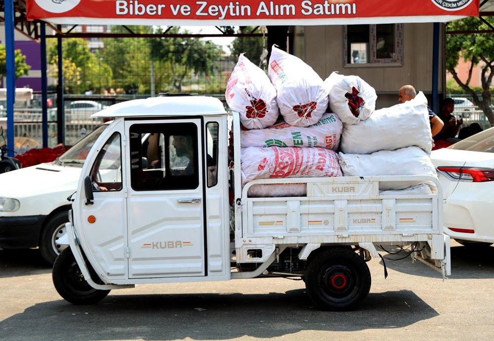 Adana'da salça sezonu başladı: Çatılar kırmızıya boyandı - 2