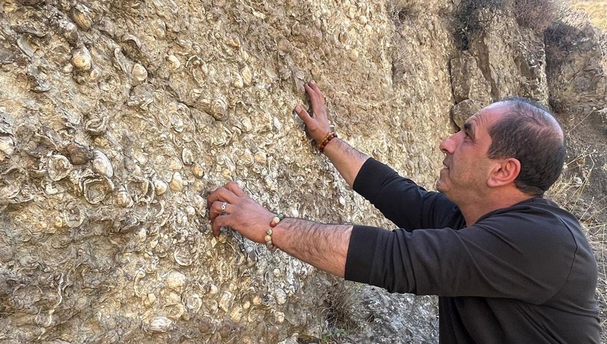 Erzurum'da bulundu: 200 milyon yıl öncesine ait