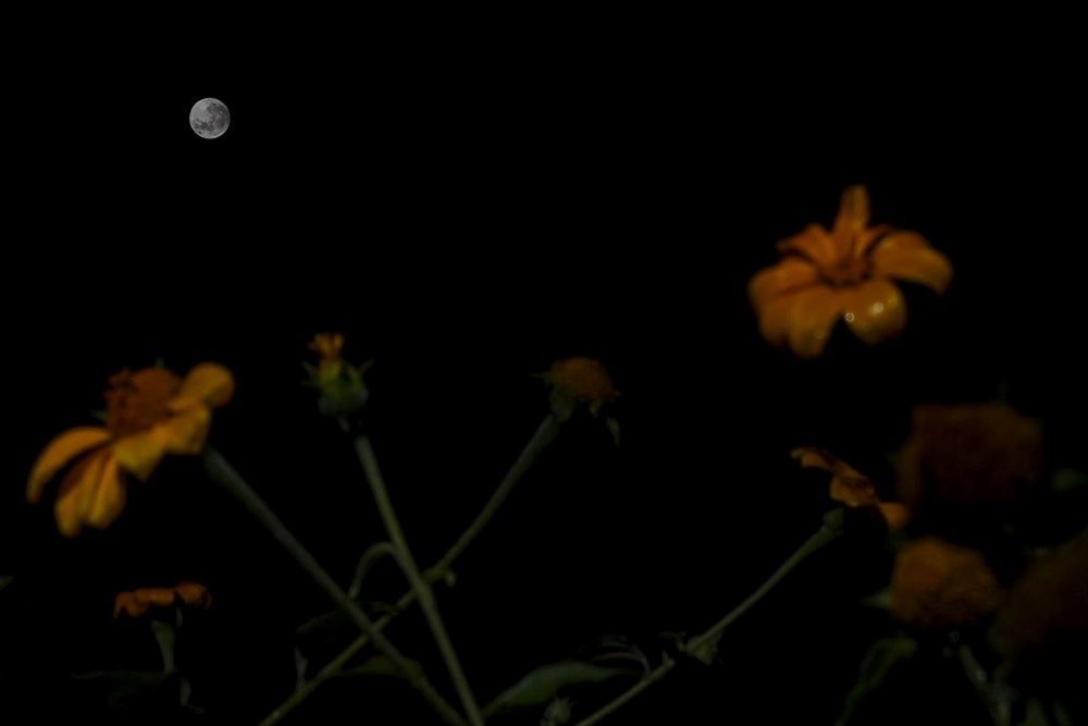 Son 581 yılın en uzun Ay tutulması başladı - 18