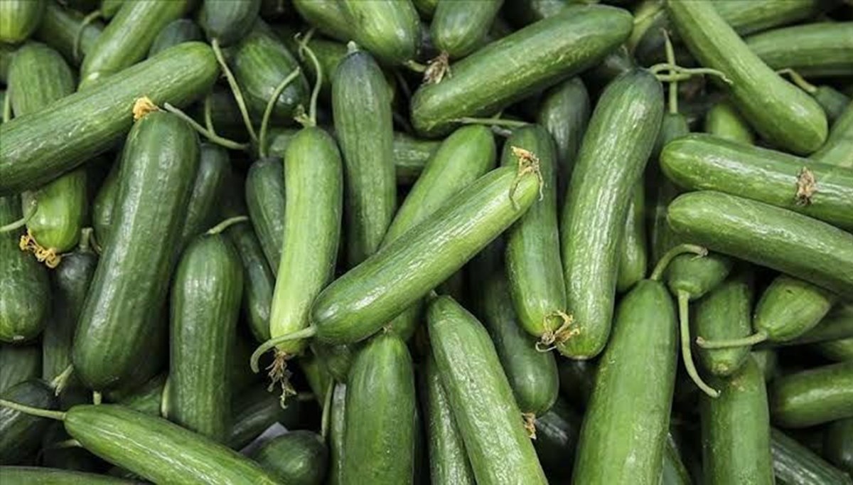 Şubatta en çok salatalık fiyatı arttı