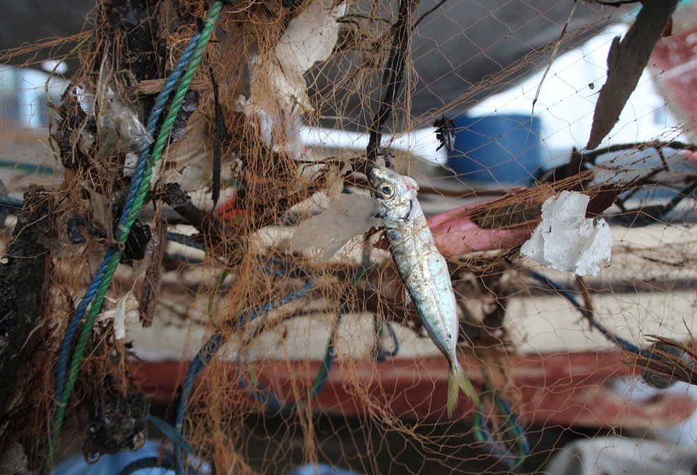 Karadeniz’de balıkçılığa çöp tehdidi - 7
