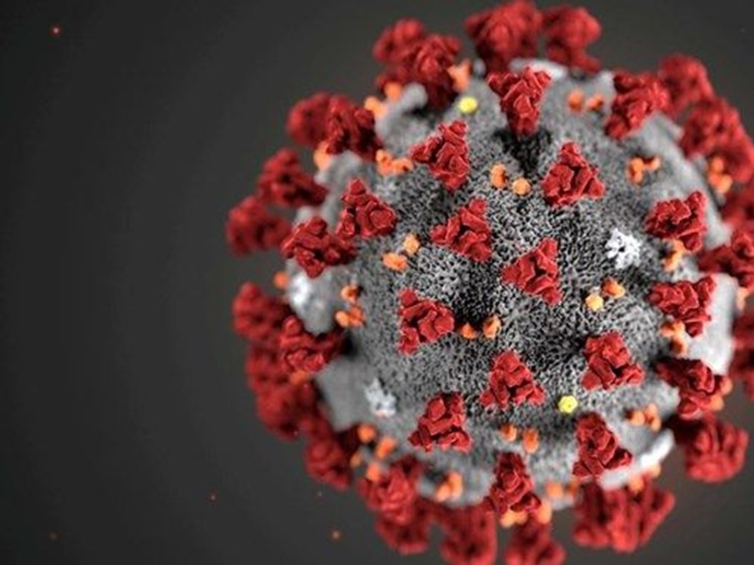 b117 virusu nedir b117 virusu belirtileri ve ozellikleri nelerdir ingiltere den korona virus mutasyonu uyarisi saglik haberleri ntv