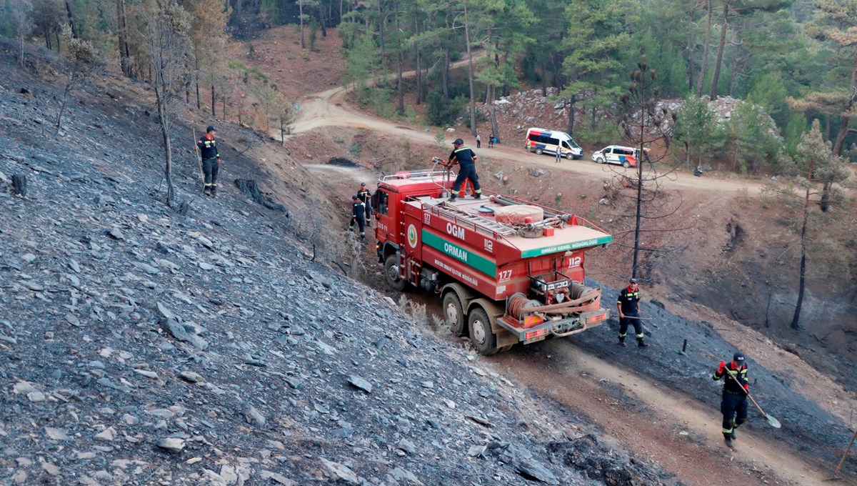 Orman yangınlarında son durum