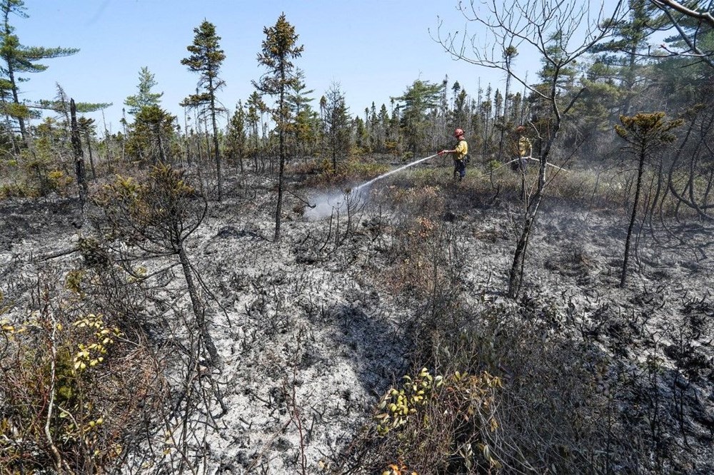 Kanada'da orman yangınları sürüyor: Binlerce kişi tahliye edildi - 9