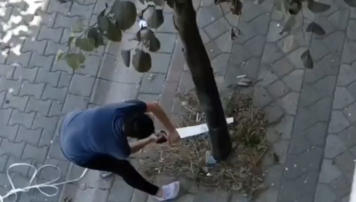 Sultangazi'de testere ile ağacı kesmeye çalıştı Sultangazi'de testere ile ağacı kesmeye çalıştı