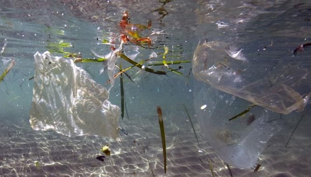 AB plastik atık ihracatını sınırlandırdı