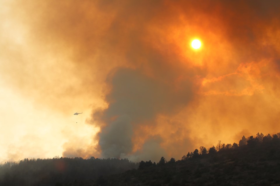 Bolu'da çıkan orman yangını kısmen kontrol altına alındı - 1