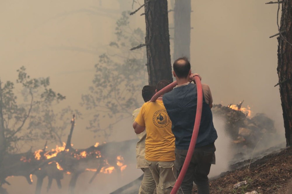 Bolu'da yıldırım düşmesi sonucu çıkan orman yangınına müdahale sürüyor - 6