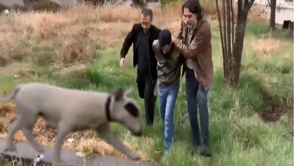 430 bin lira değerindeki şampiyon köpeği çalan hırsız yakalandı