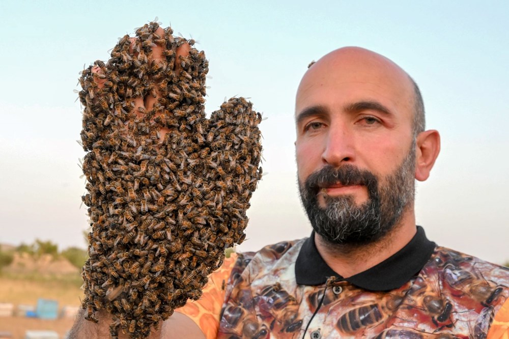 "Arı Adam"ın Guinness Rekorlar Kitabı hayaline ramak kaldı - 3