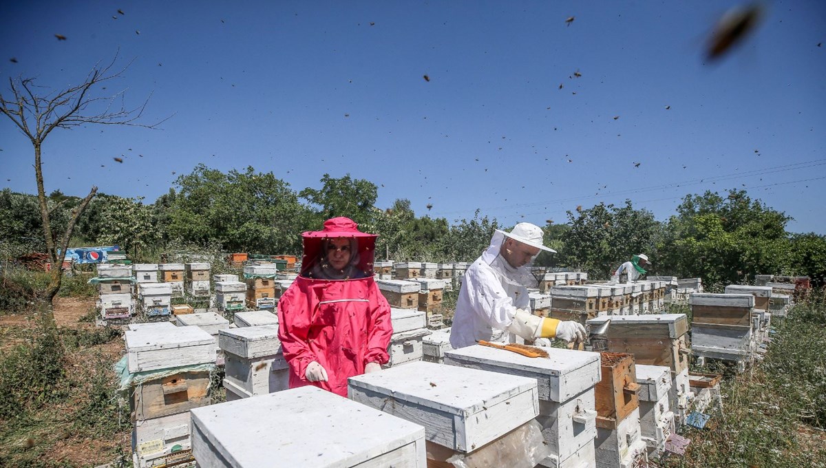 4 arkadaş eşleriyle birlikte üretiyor: Türkiye'nin dört bir yanına gönderiyorlar